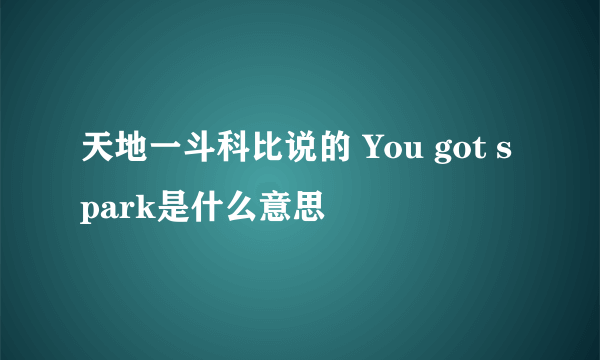 天地一斗科比说的 You got spark是什么意思