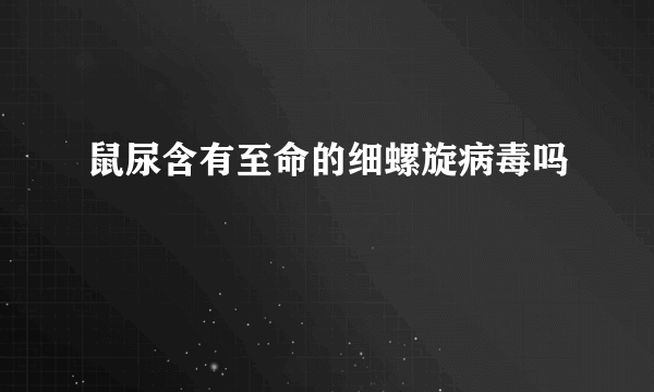 鼠尿含有至命的细螺旋病毒吗