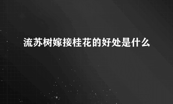 流苏树嫁接桂花的好处是什么