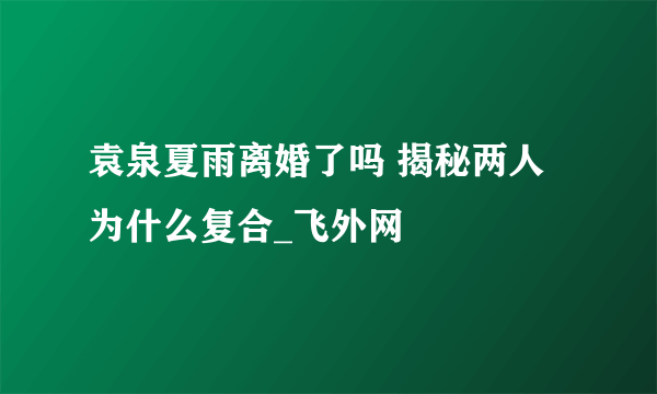 袁泉夏雨离婚了吗 揭秘两人为什么复合_飞外网