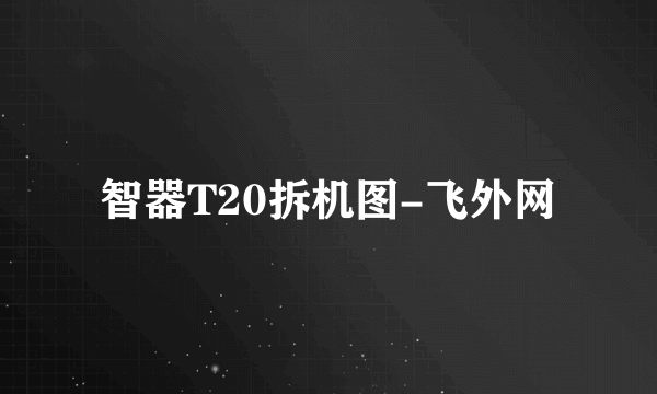 智器T20拆机图-飞外网