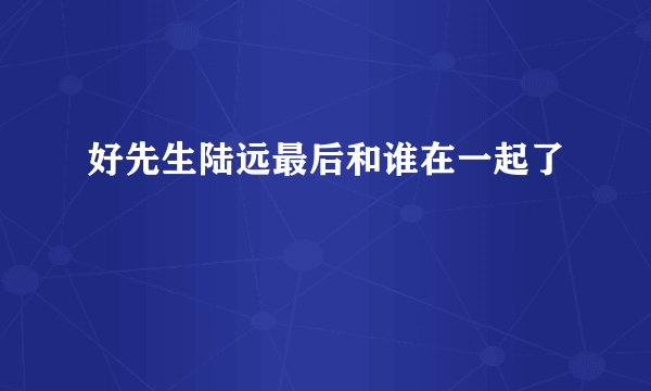 好先生陆远最后和谁在一起了