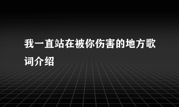 我一直站在被你伤害的地方歌词介绍