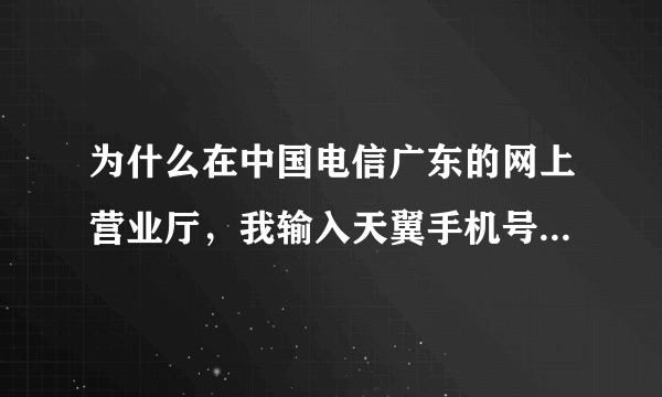 为什么在中国电信广东的网上营业厅，我输入天翼手机号码和客户密码，老是登陆不上去？