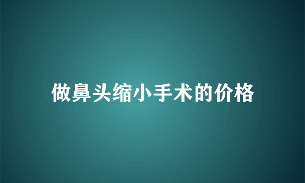 做鼻头缩小手术的价格