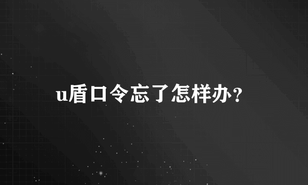 u盾口令忘了怎样办？