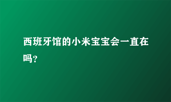 西班牙馆的小米宝宝会一直在吗？