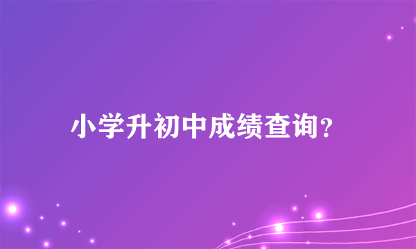 小学升初中成绩查询？