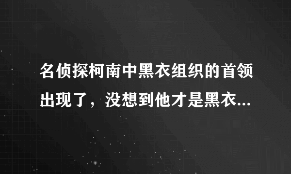 名侦探柯南中黑衣组织的首领出现了，没想到他才是黑衣组织的首领