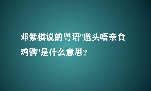 邓紫棋说的粤语