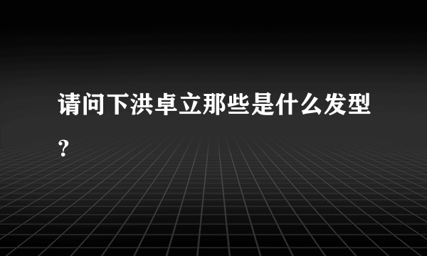 请问下洪卓立那些是什么发型？