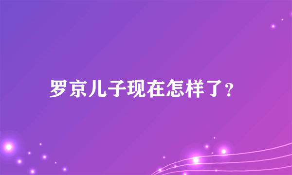 罗京儿子现在怎样了？