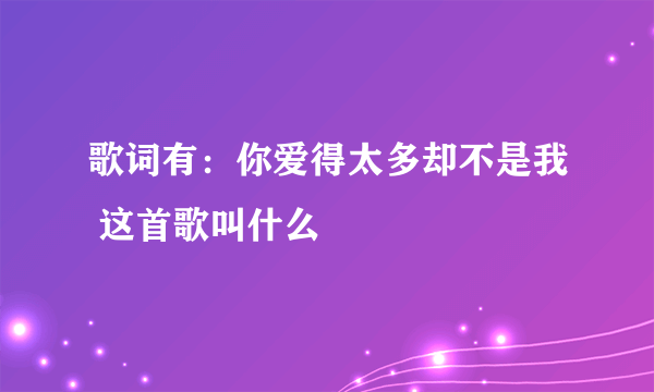 歌词有：你爱得太多却不是我 这首歌叫什么