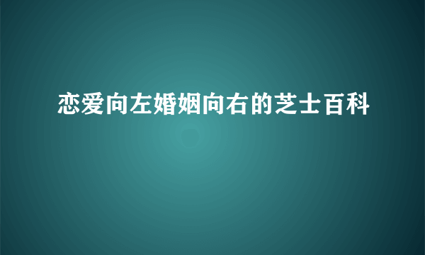 恋爱向左婚姻向右的芝士百科