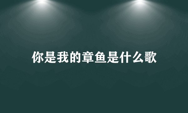 你是我的章鱼是什么歌