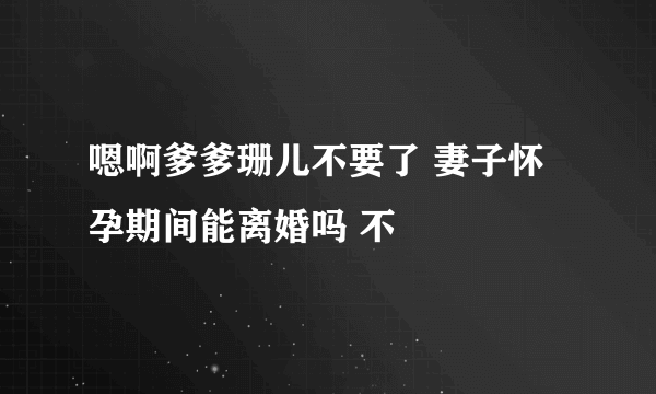 嗯啊爹爹珊儿不要了 妻子怀孕期间能离婚吗 不