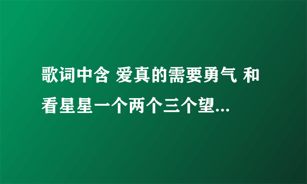 歌词中含 爱真的需要勇气 和 看星星一个两个三个望着天 的那首歌