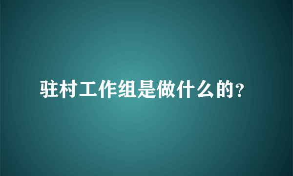 驻村工作组是做什么的？