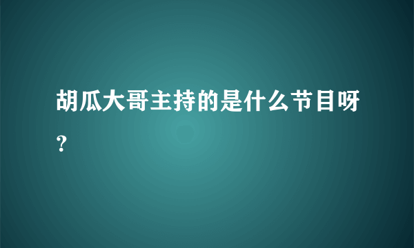 胡瓜大哥主持的是什么节目呀？