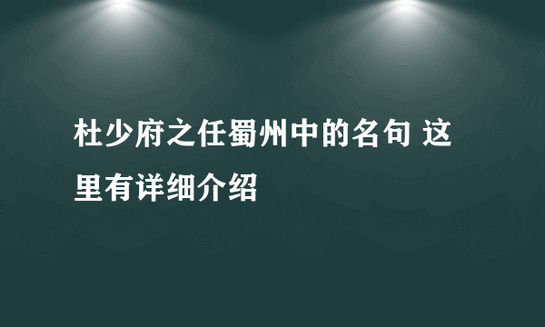 杜少府之任蜀州中的名句 这里有详细介绍