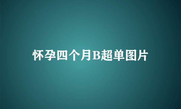 怀孕四个月B超单图片