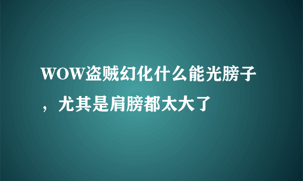 WOW盗贼幻化什么能光膀子，尤其是肩膀都太大了