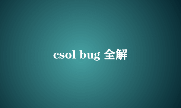 csol bug 全解