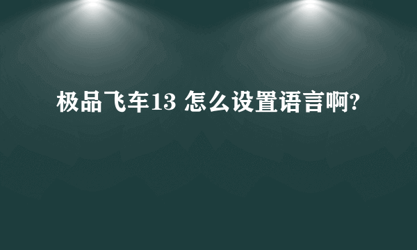 极品飞车13 怎么设置语言啊?