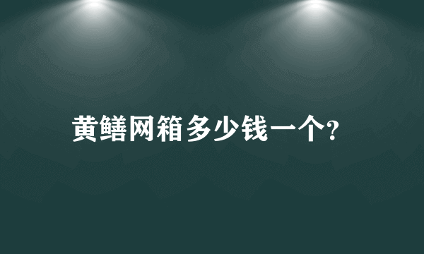 黄鳝网箱多少钱一个？