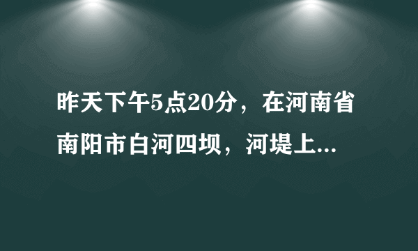 昨天下午5点20分，在河南省南阳市白河四坝，河堤上修路发生一件怪事