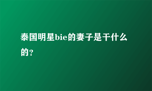 泰国明星bie的妻子是干什么的？