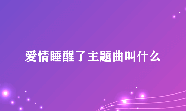 爱情睡醒了主题曲叫什么