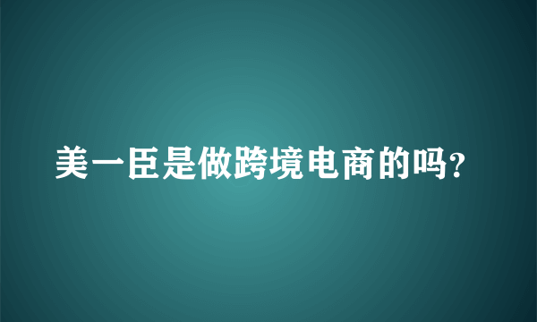 美一臣是做跨境电商的吗？