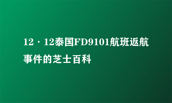 12·12泰国FD9101航班返航事件的芝士百科