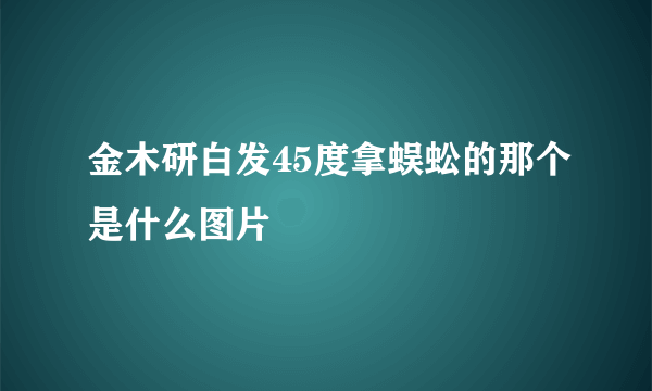 金木研白发45度拿蜈蚣的那个是什么图片