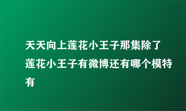 天天向上莲花小王子那集除了莲花小王子有微博还有哪个模特有