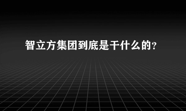 智立方集团到底是干什么的？