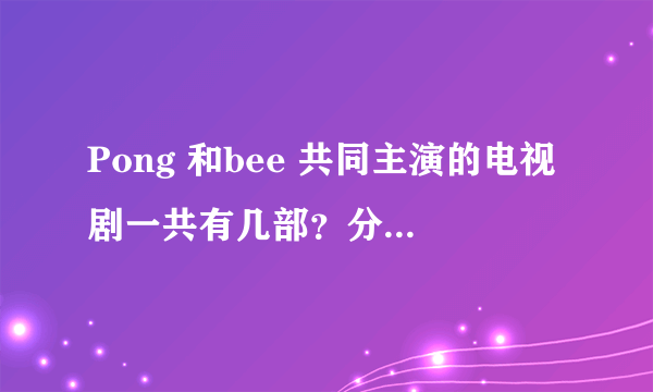 Pong 和bee 共同主演的电视剧一共有几部？分别是哪些？