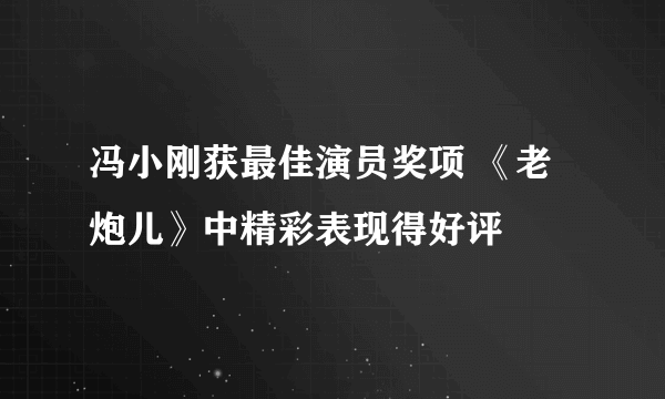 冯小刚获最佳演员奖项 《老炮儿》中精彩表现得好评