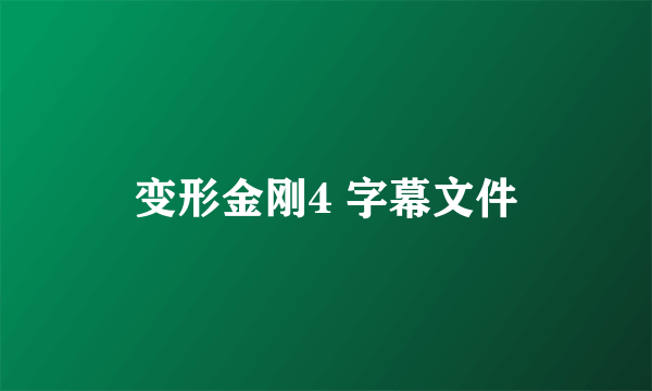 变形金刚4 字幕文件