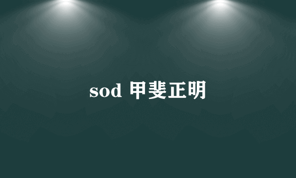 sod 甲斐正明