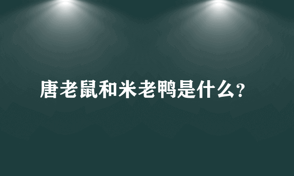 唐老鼠和米老鸭是什么？