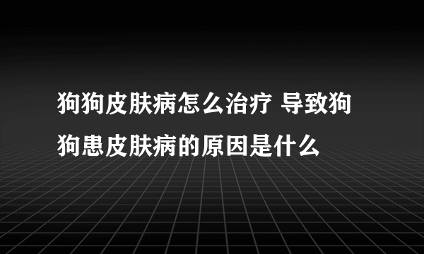 狗狗皮肤病怎么治疗 导致狗狗患皮肤病的原因是什么