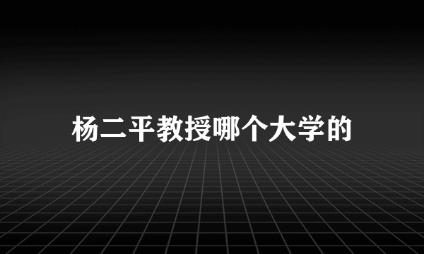 杨二平教授哪个大学的