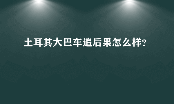 土耳其大巴车追后果怎么样？