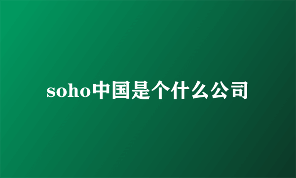 soho中国是个什么公司