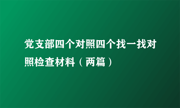 党支部四个对照四个找一找对照检查材料（两篇）