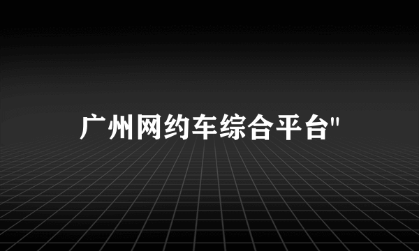 广州网约车综合平台