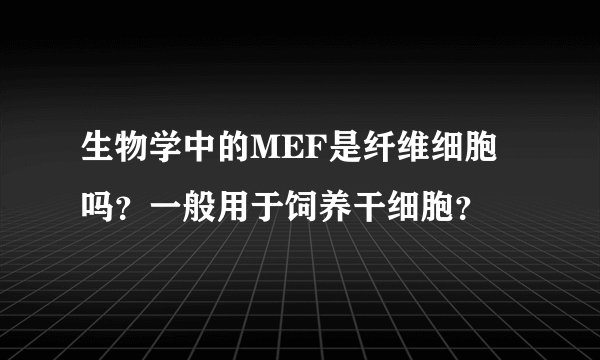 生物学中的MEF是纤维细胞吗？一般用于饲养干细胞？