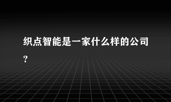 织点智能是一家什么样的公司？